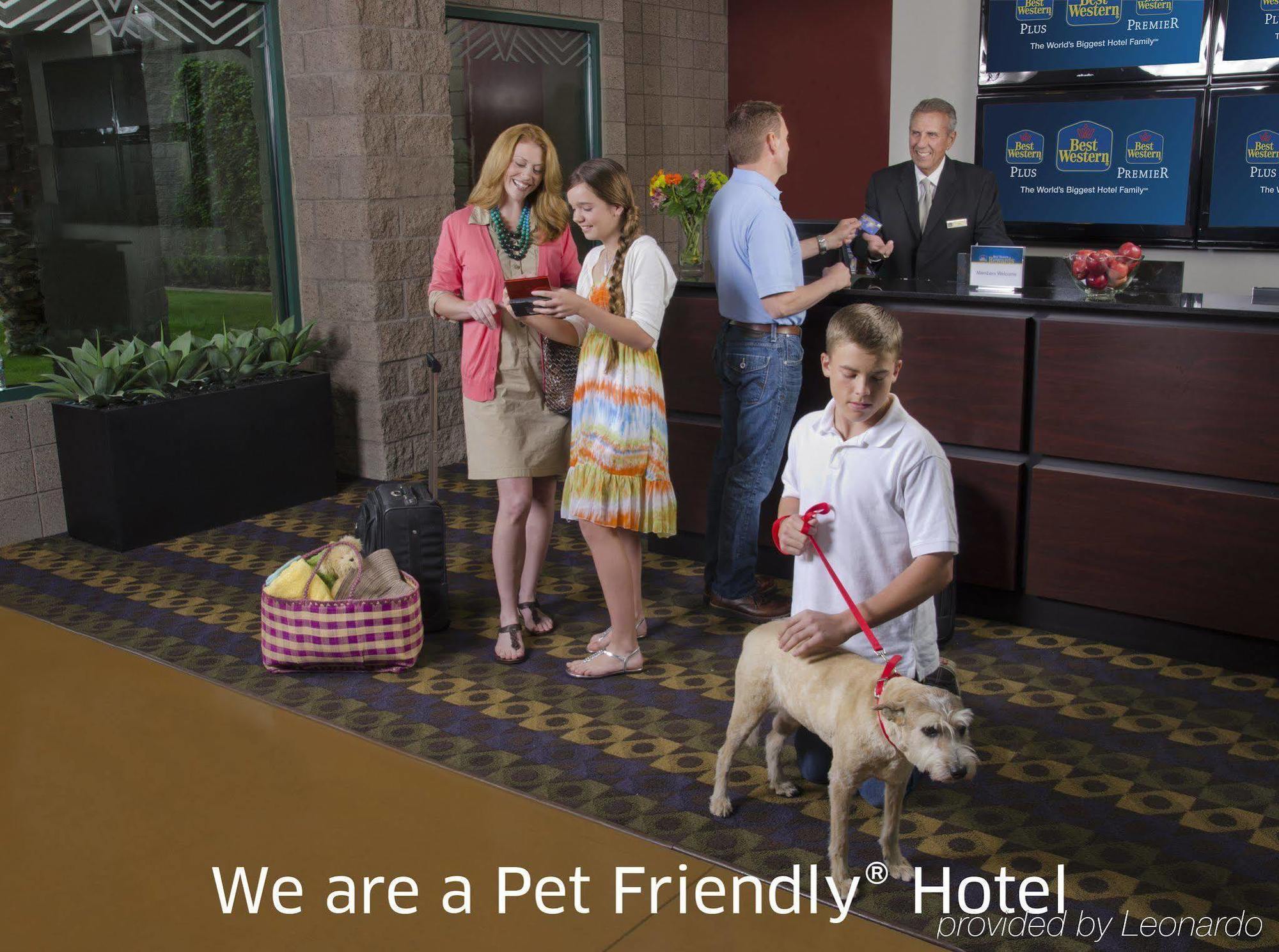 Western Inn&suites Hotel Lytle